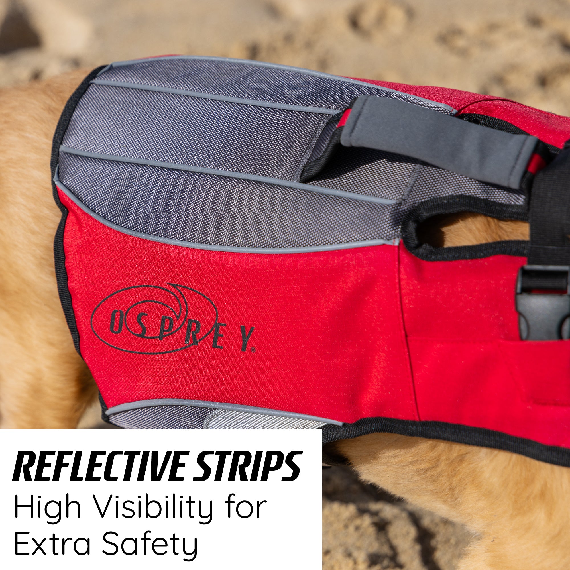 dog life jacket with reflective strips for high visibility