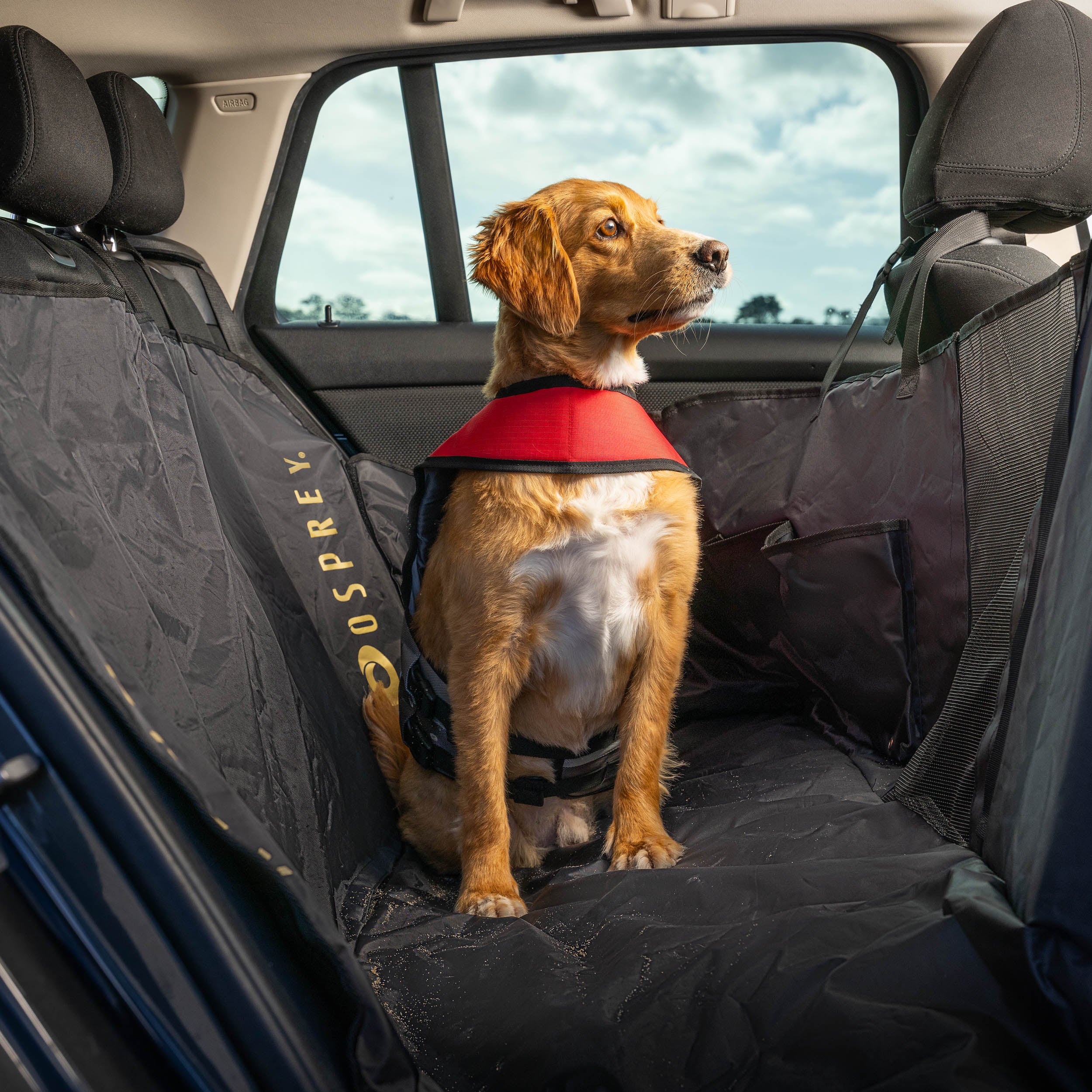 dog rear seat cover