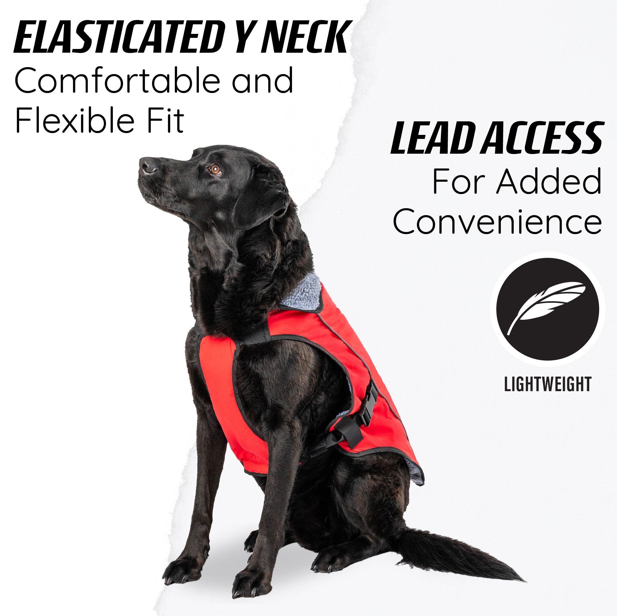 dog jacket