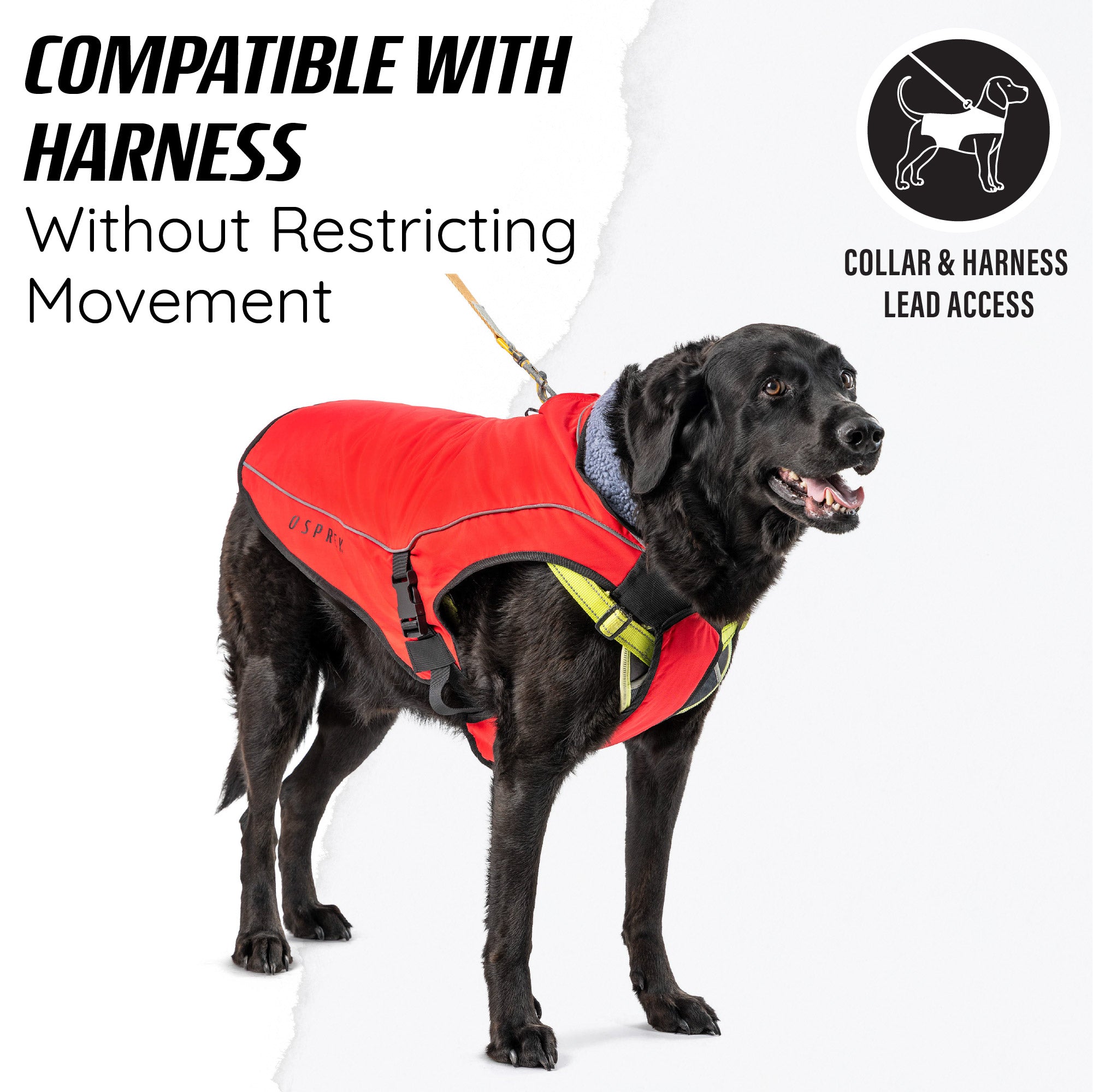 dog jacket waterproof