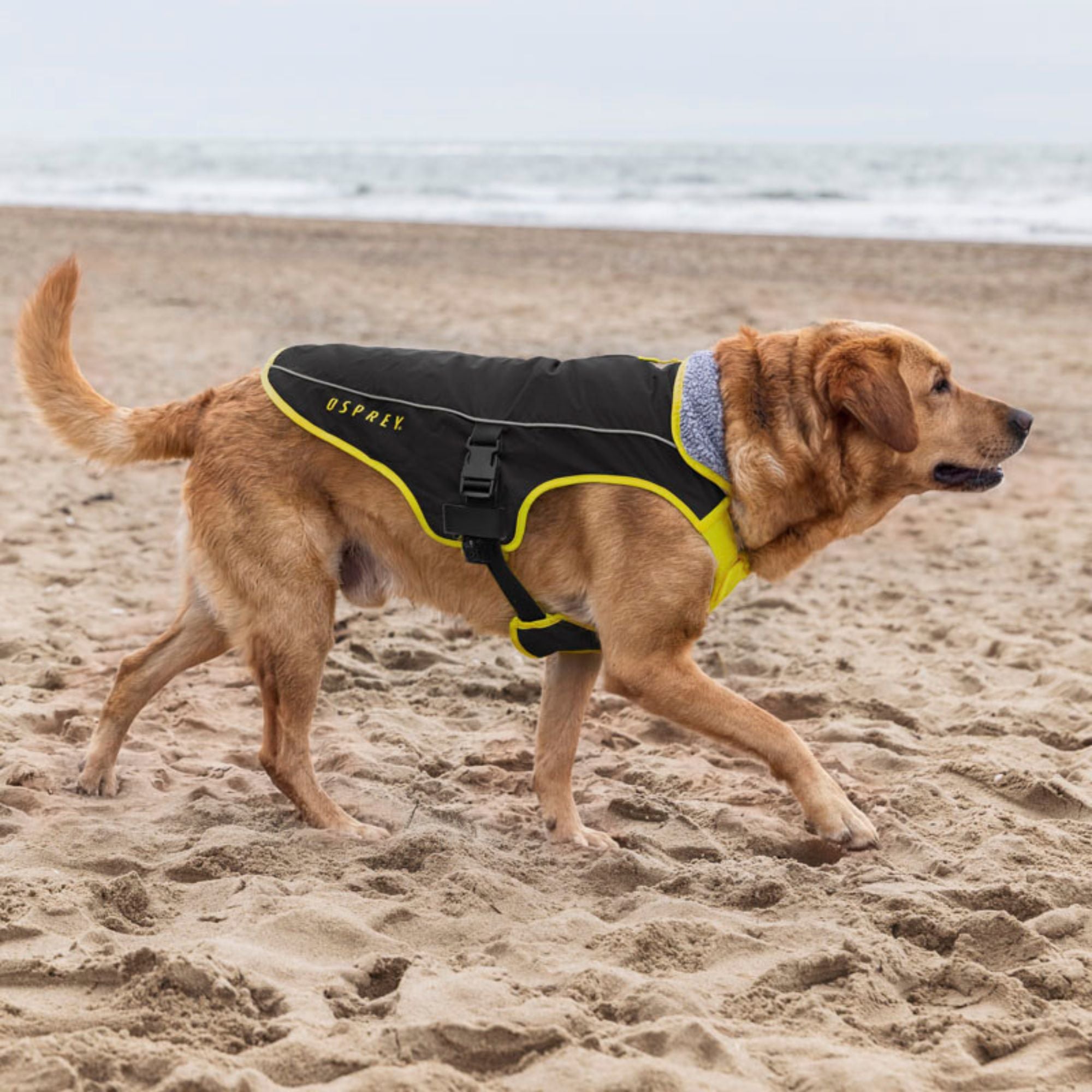 Water-Resistant Sherpa Fleece Dog Coat - Black