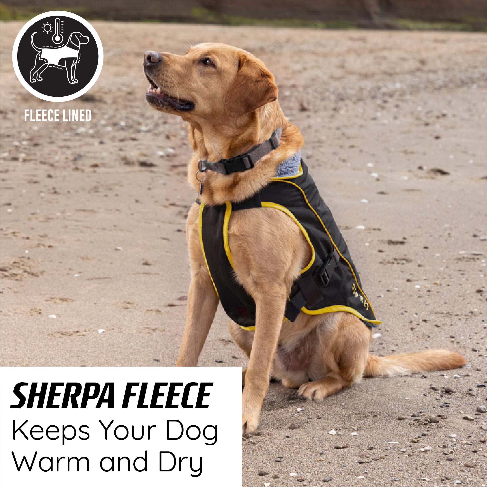 water resistant dog jacket with sherpa fleece