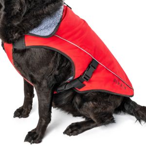 dog winter coat