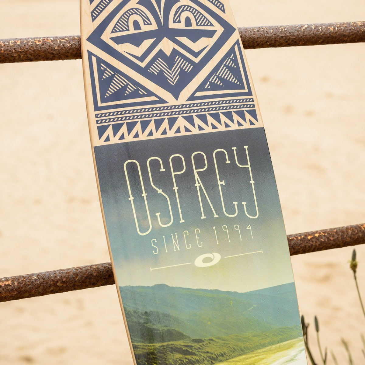 46" Pintail Longboard Skateboard Coastline
