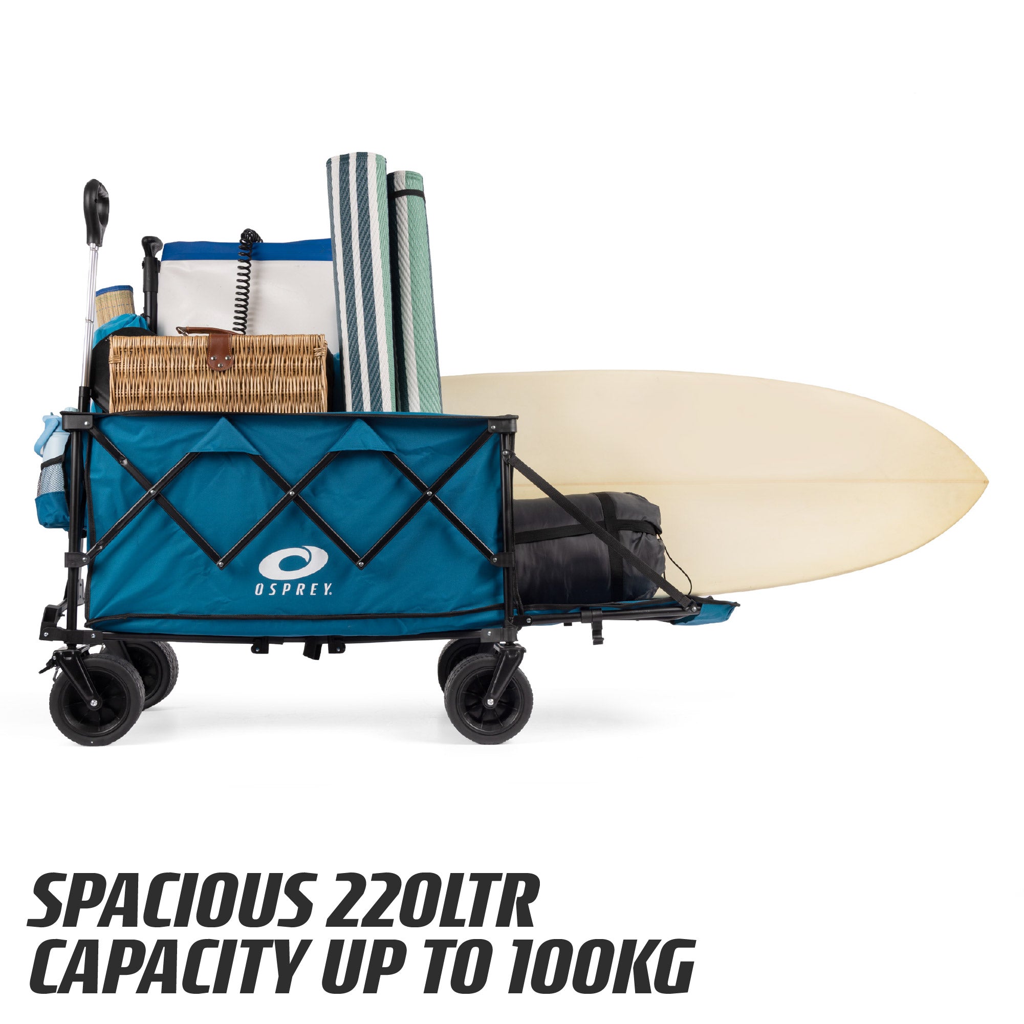 beach trolley for family beach days out
