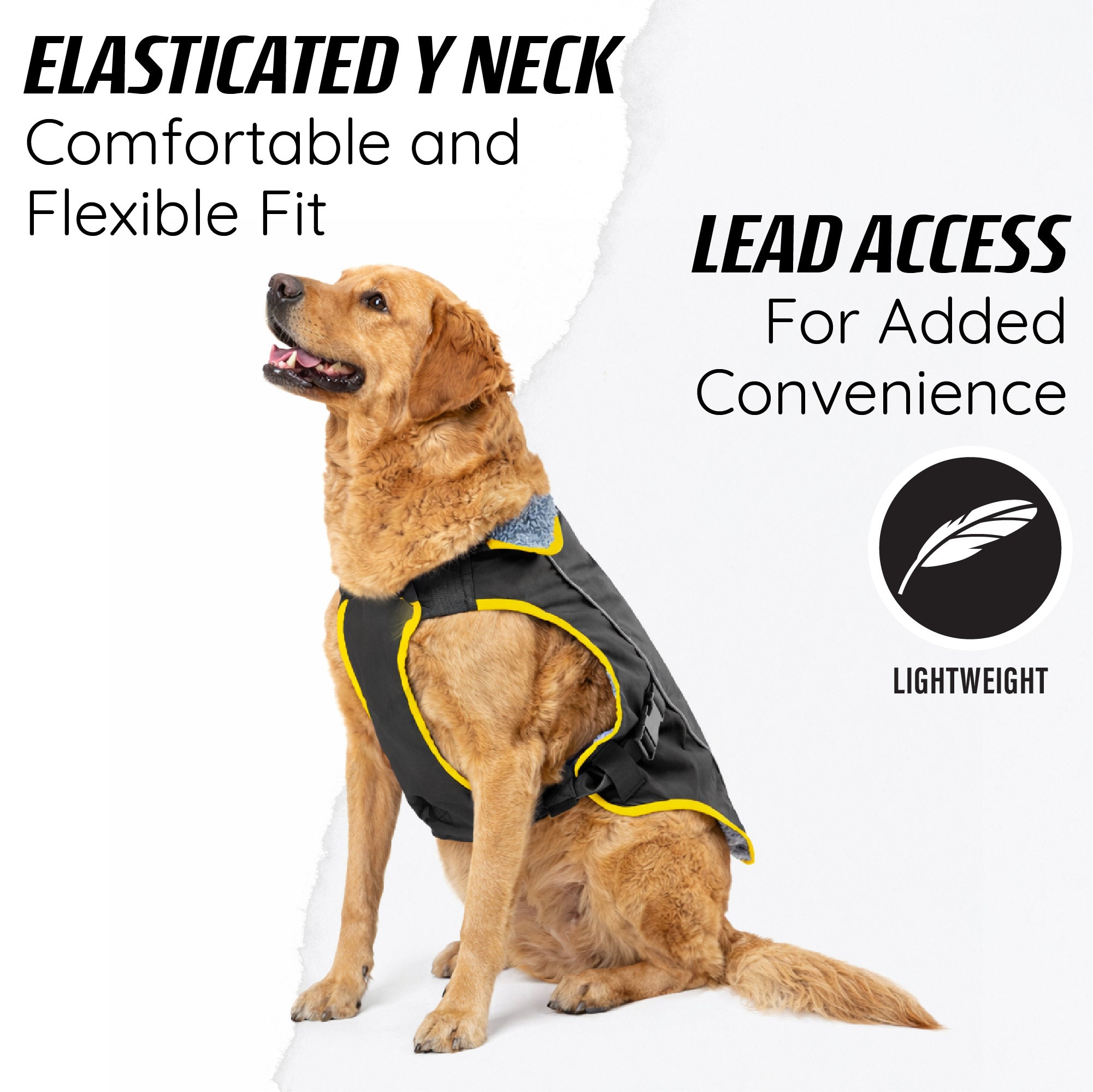 black dog coat with lead access