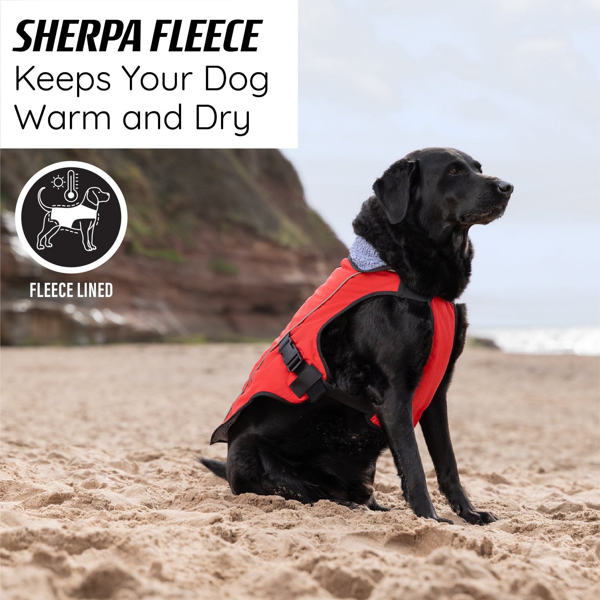 dog rain coat