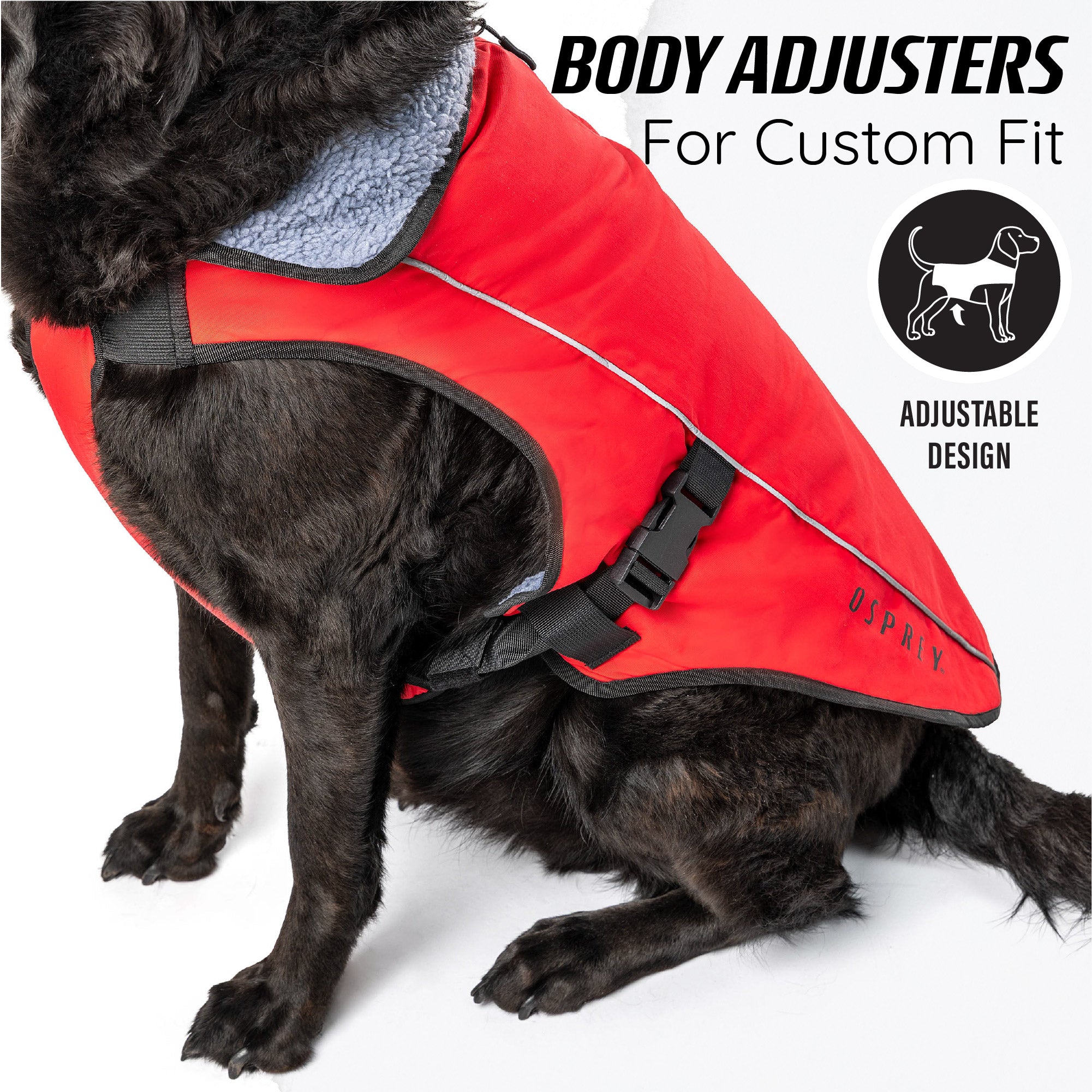 warm dog coat