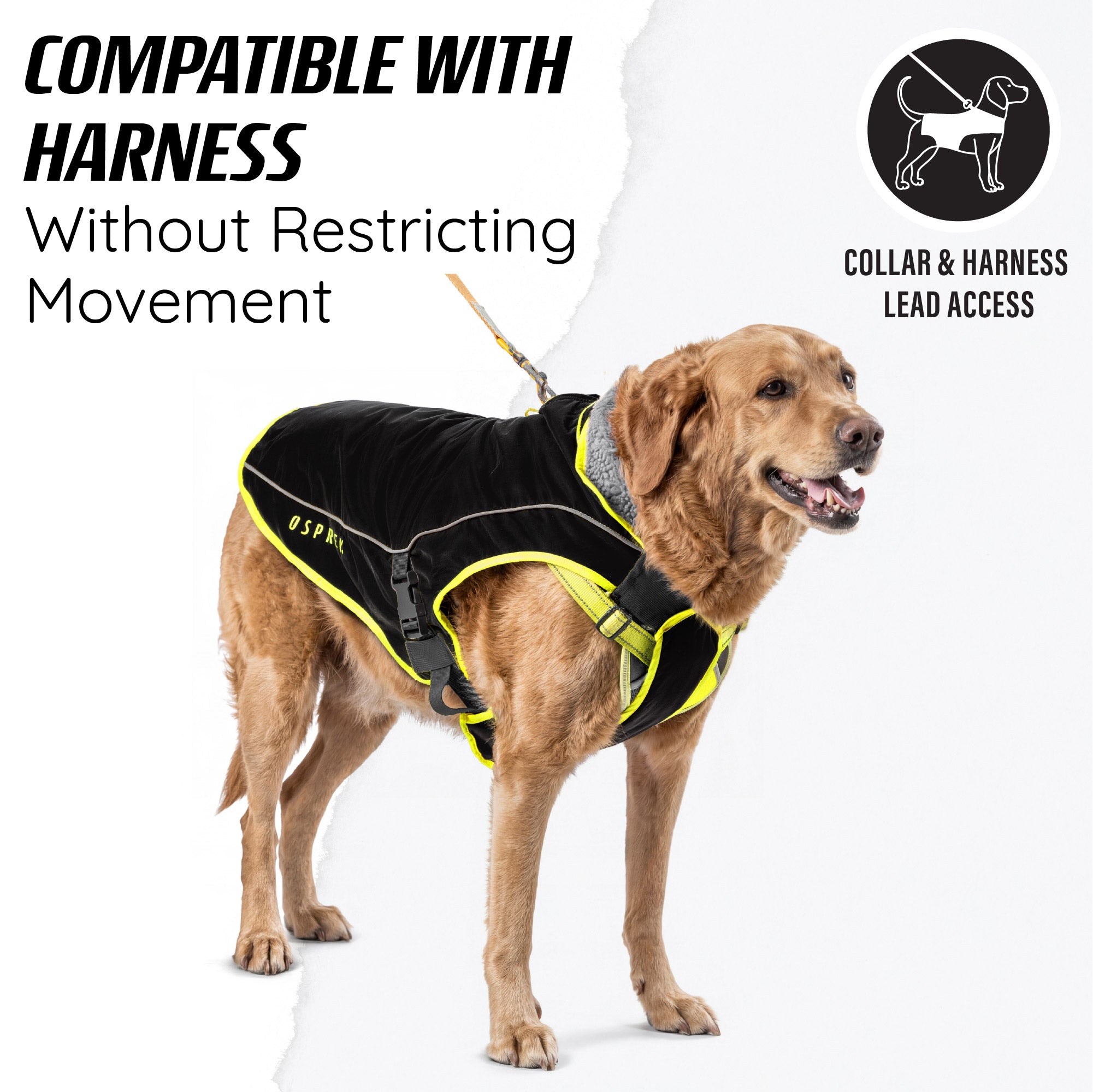 waterproof dog coat