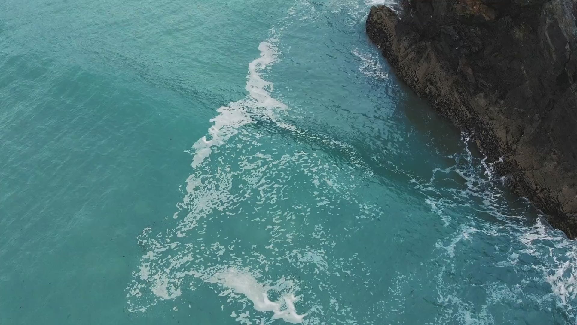vimeo-548803200