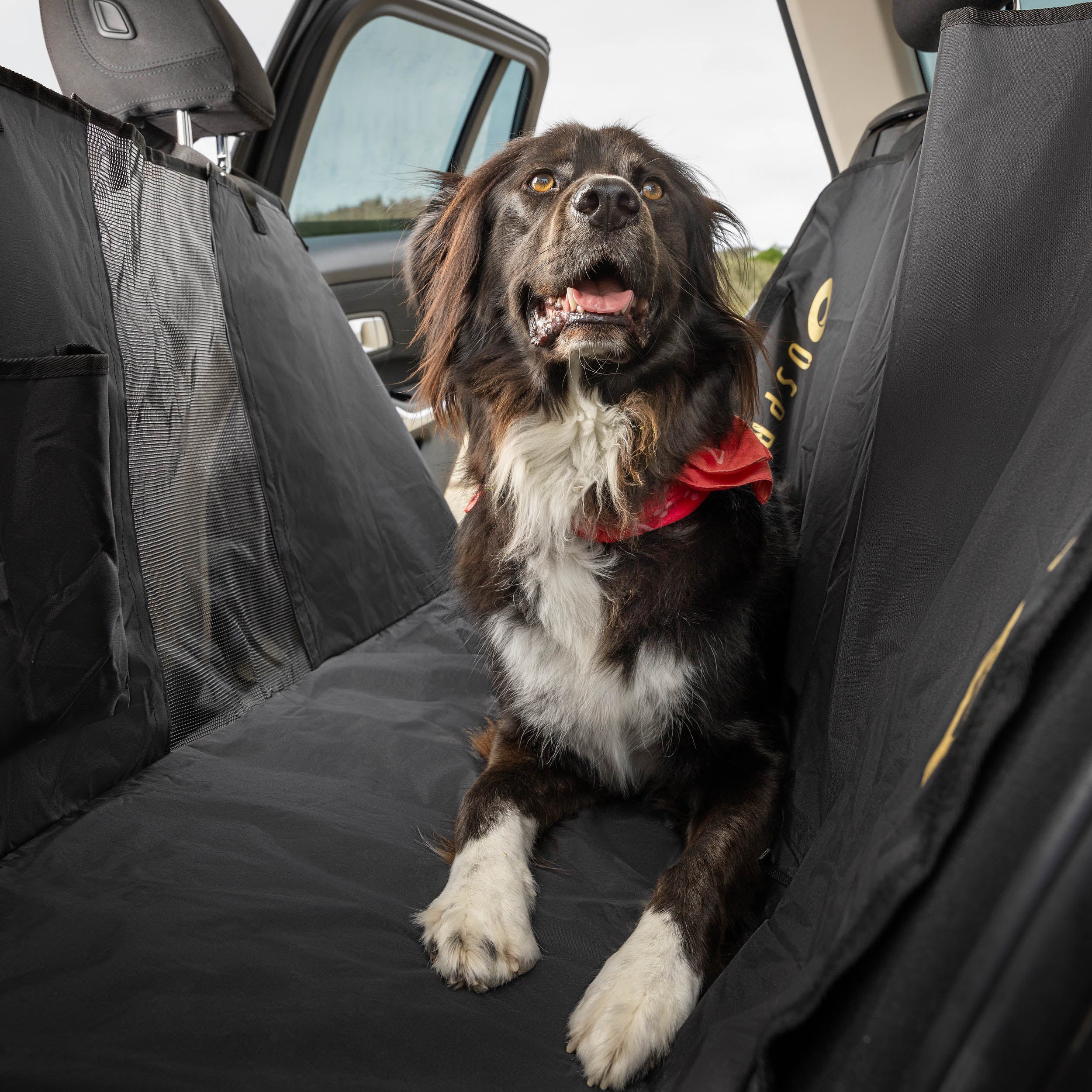rear car seat cover for dogs