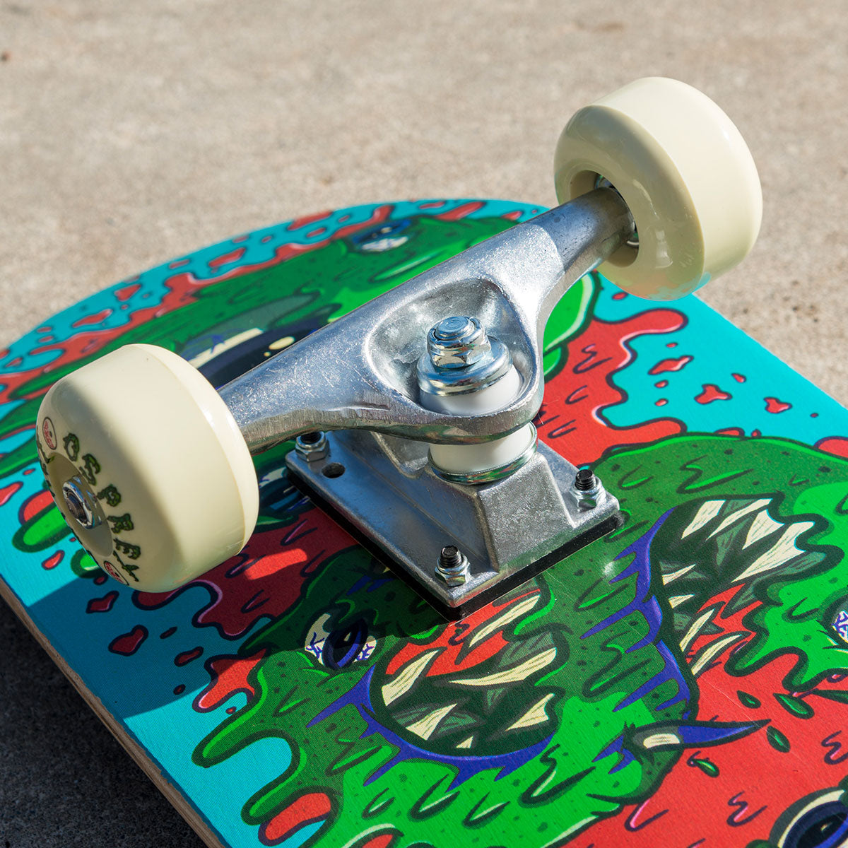 skateboard for beginners adults